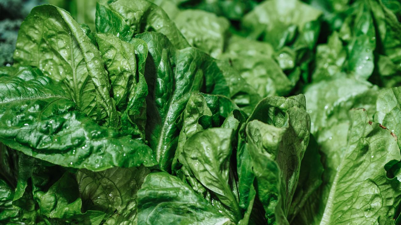Spinach:Best stress foods